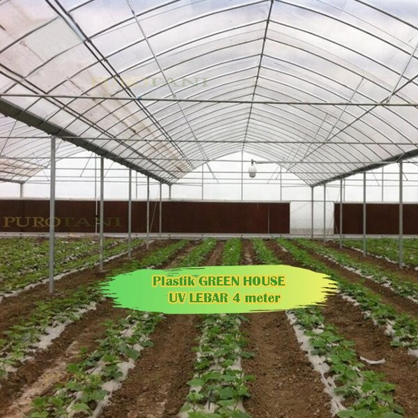 Plastik UV 4M Ultra Violet Green House UV 14%-170 micron Lebar 4 Meter Juara