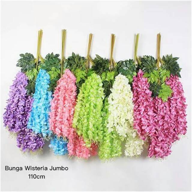 BUNGA WISTERIA JUMBO