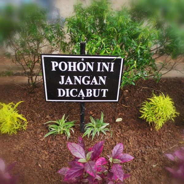 

tanda sign rambu tanamana pohon dilarang forbidden