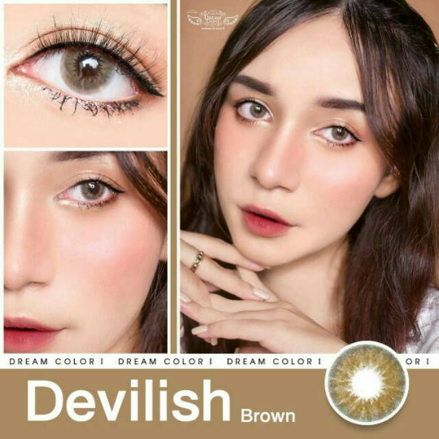 Softlens Mini Devilish Normal Minus dia 14mm by Dreamcolor 1 / mini look series grey brown