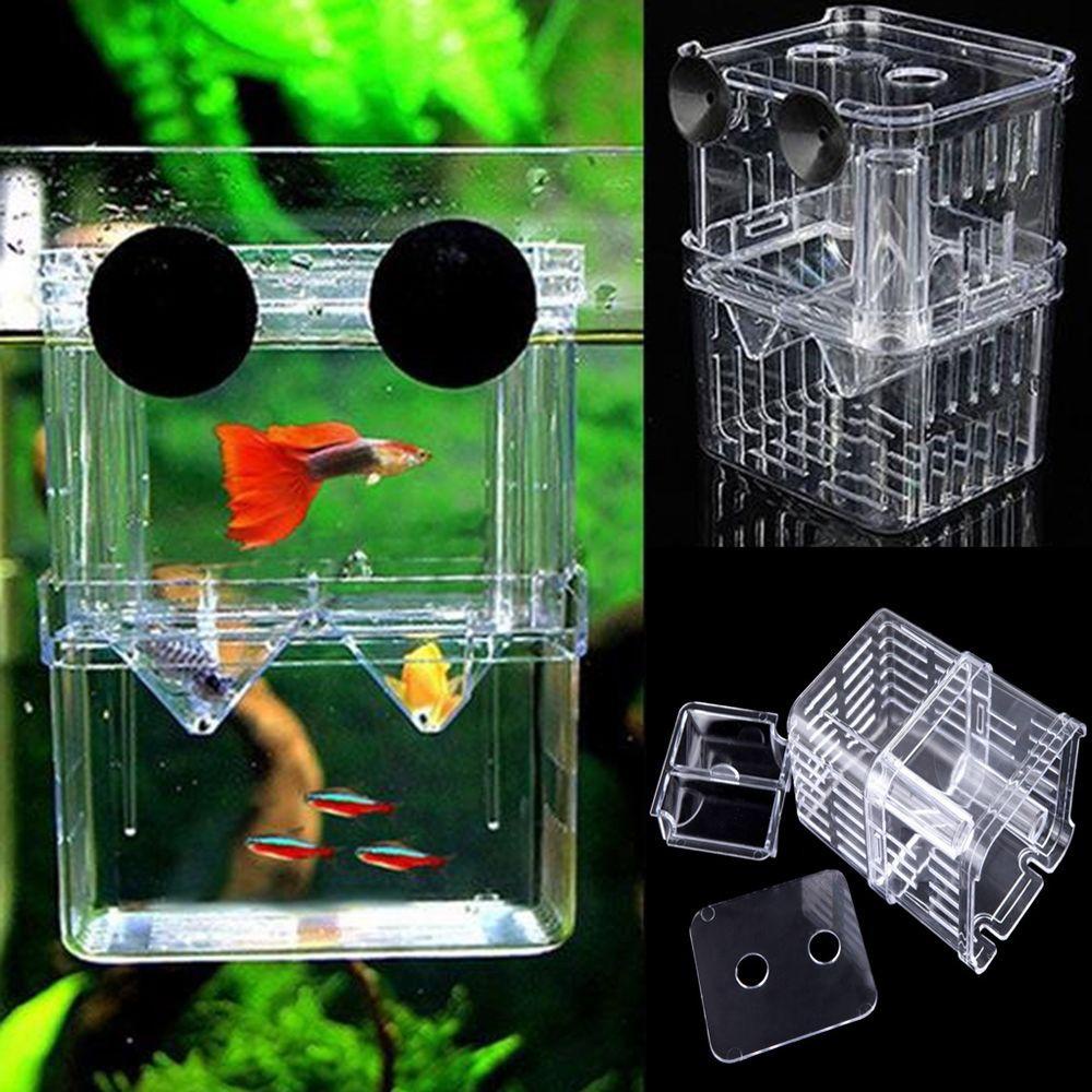 Chookyy Kotak Pembibitan Ikan Sekat Akrilik Yang Bermanfaat Double-Deck Hatching Case Isolasi Aquarium