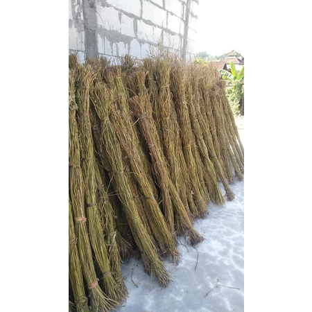 akar mantau/akar manon/ring akar