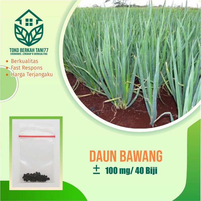 BENIH SAYURAN UNGGUL TERLENGKAP TERJANGKAU BIBIT KUBIS TOMAT SAWI TERONG CABE BUNCIS BAYAM KANGKUNG-Daun bawang