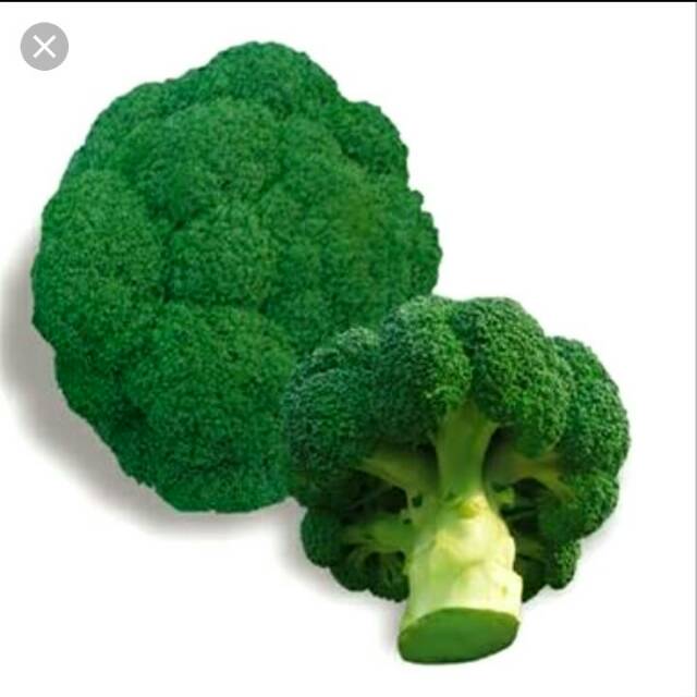 

Sayur brokoli pilihan