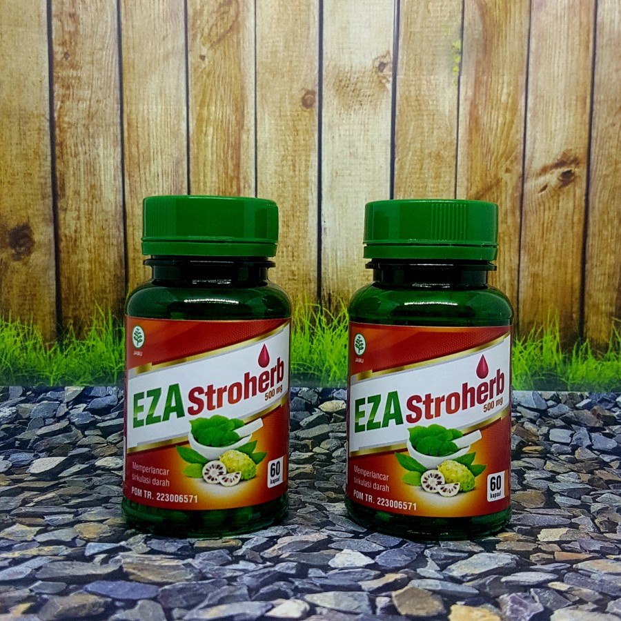 obat herbal cegah & atasi sakit stroke |EZA STROHERB ORIGINAL