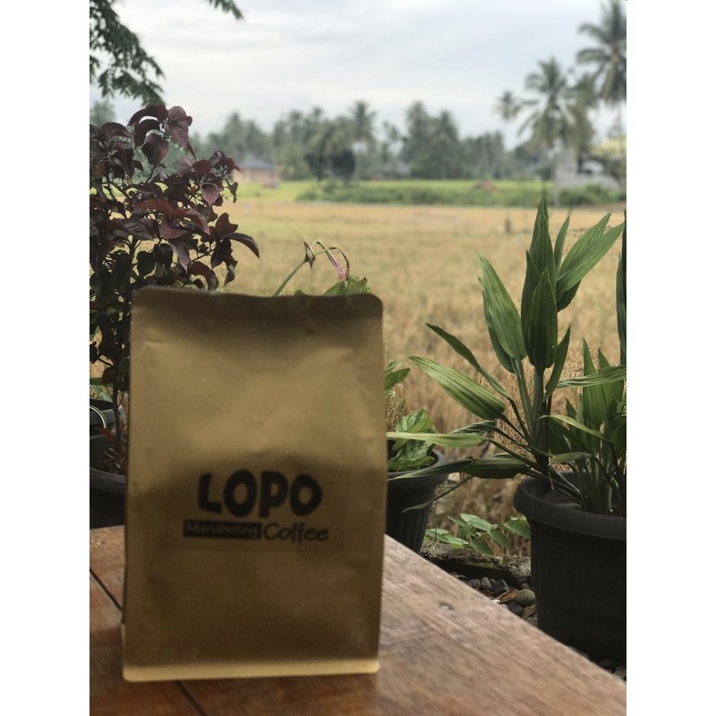 

Kopi arabica mandailing specialty