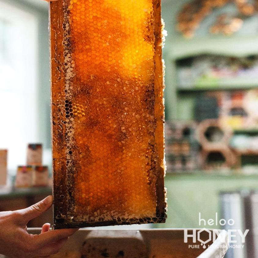 

PROMO BESAR (jdz-655) Sarang Madu Premium Alami Honey Comb Heloo 250gr 100% Asli Pure Organic Honeyc