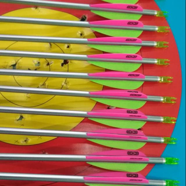 Arrow Easton Platinum Plus 6 pcs Terpasang