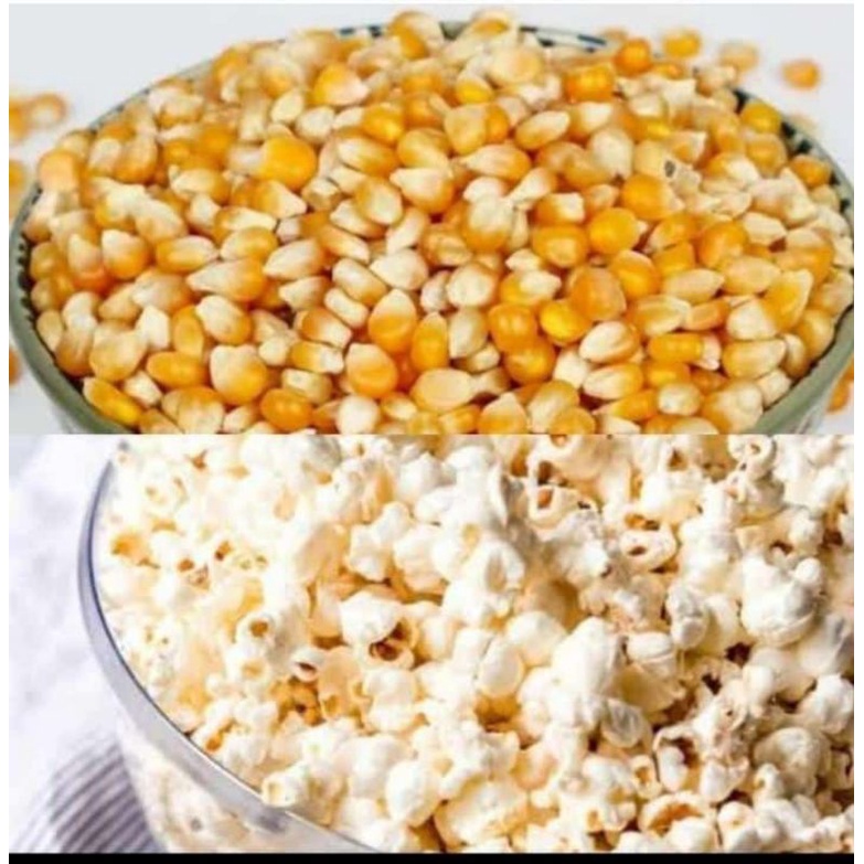 

jagung popcorn