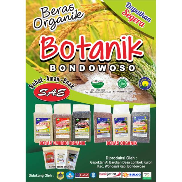 

BERAS PUTIH NON AROMATIK ORGANIK BONDOWOSO KEMASAN VAKUM 1 KG