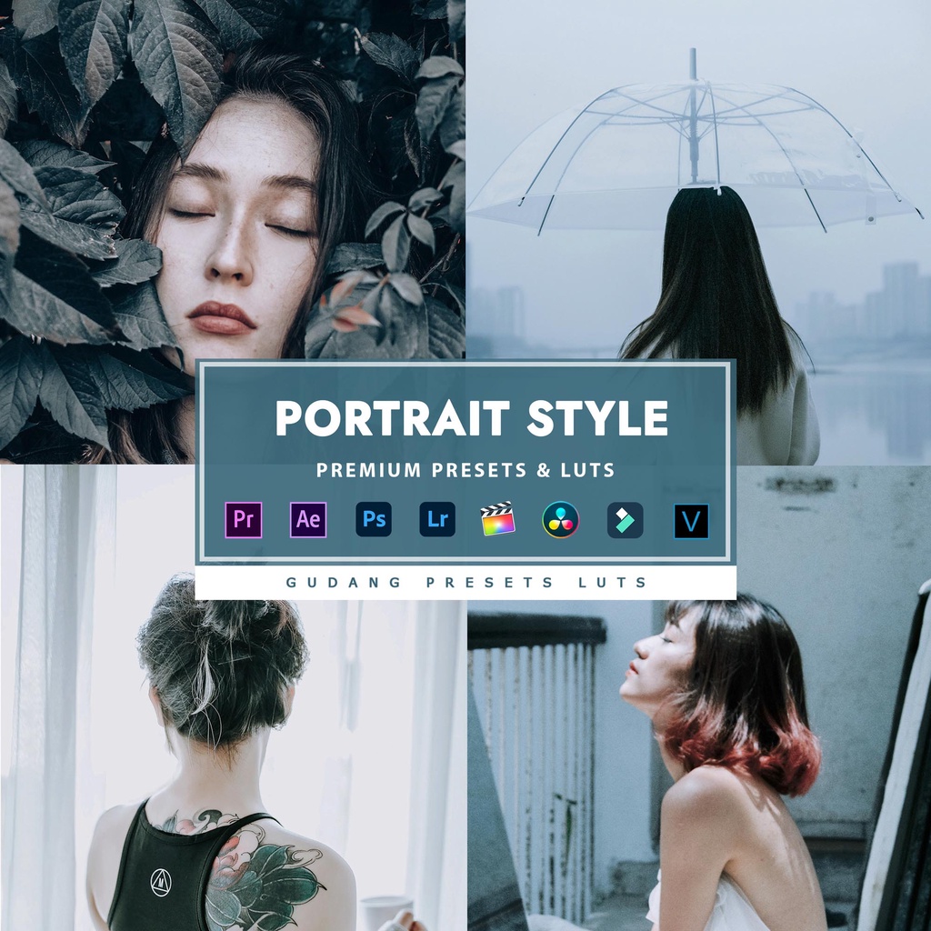 [BISA VN] Portrait Style - Premium Preset Lightroom LUTs Android IOS PC Premiere Pro Davinci