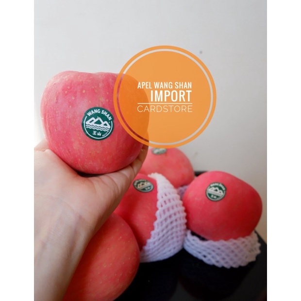 

Buah Apel Wang Shan Fresh Manis Garing - Pcs