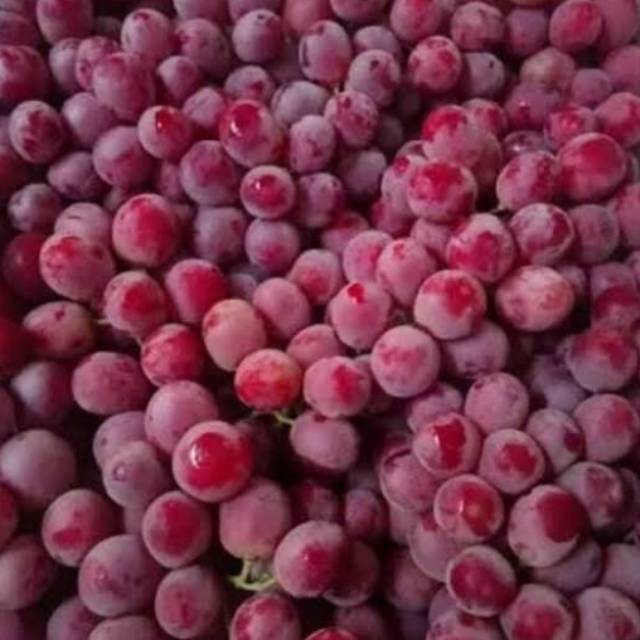 

Buah anggur ausi 500 gram fresh