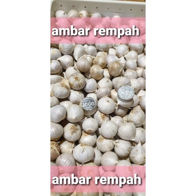 

Bawang putih tunggal/bawang lanang besar 250gram.