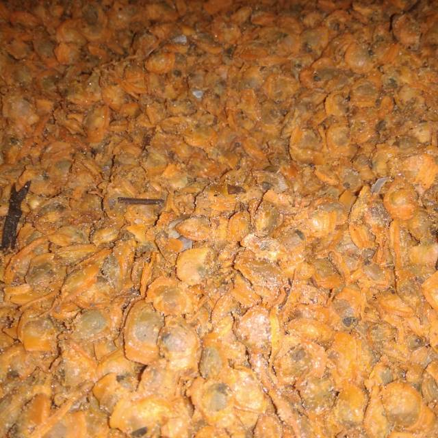 

Kepah Asin isi 250 gram