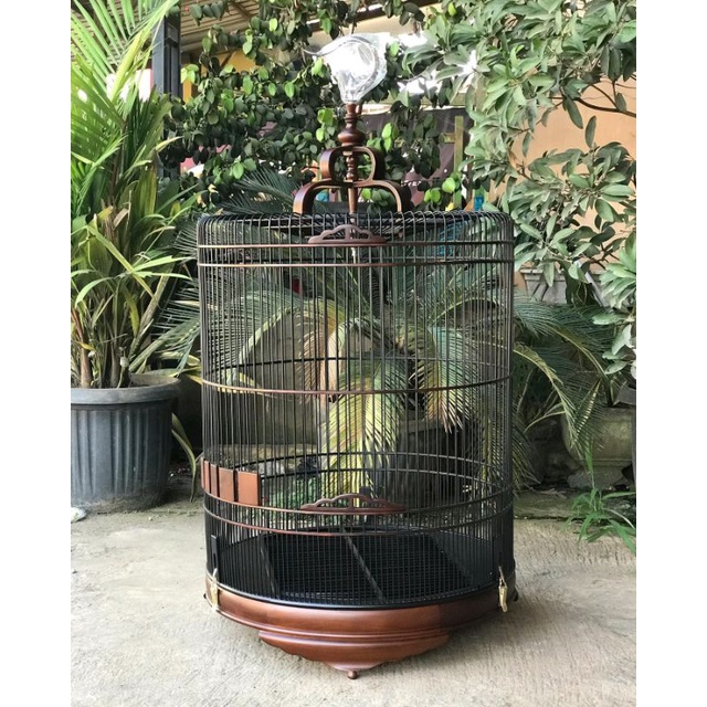 sangkar burung murai, sangkar murai no2, sangkar jati