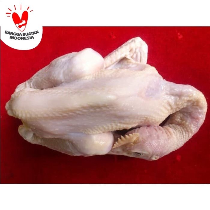 

AYAM PEJANTAN 600G / 0.6 KG UTUH FORZEN BOGOR