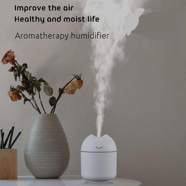 HF25 - Humidifier Diffuser Aroma Essential Oil Ultrasonic Mini 250ml