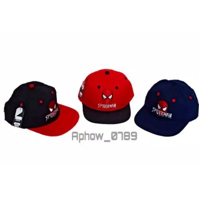 lr topi karakter spidermen /topi hip hop /topi anak laki laki