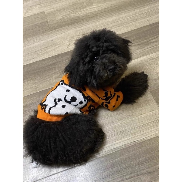 Orange &amp; Blue Bear Knit Top for Cat Dog Baju Anjing Kucing Lucu