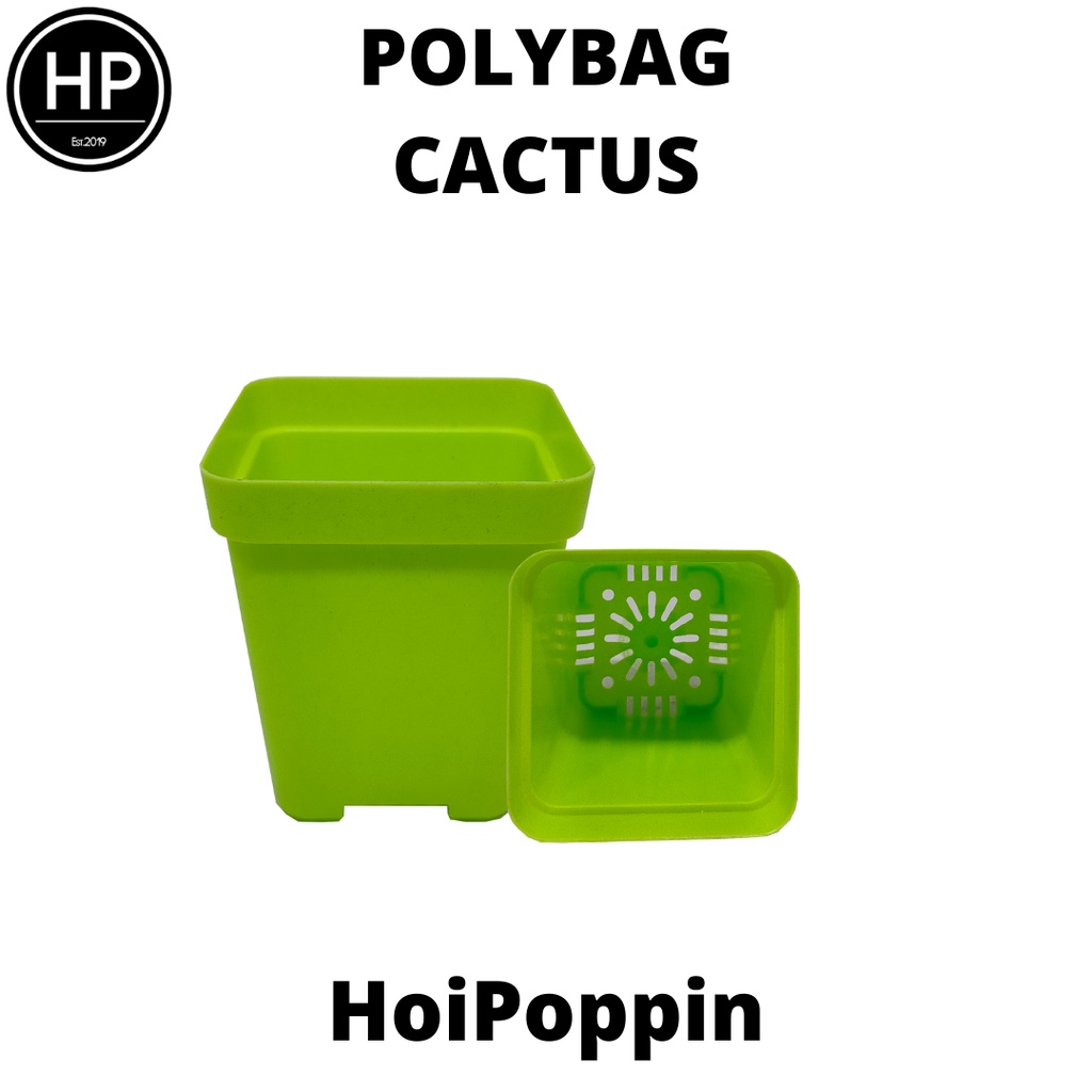 HPP - Polybag (Hijau) - cactus polybag - pot cactus - pot elastis - pot dan tatakan - pot - pot hias