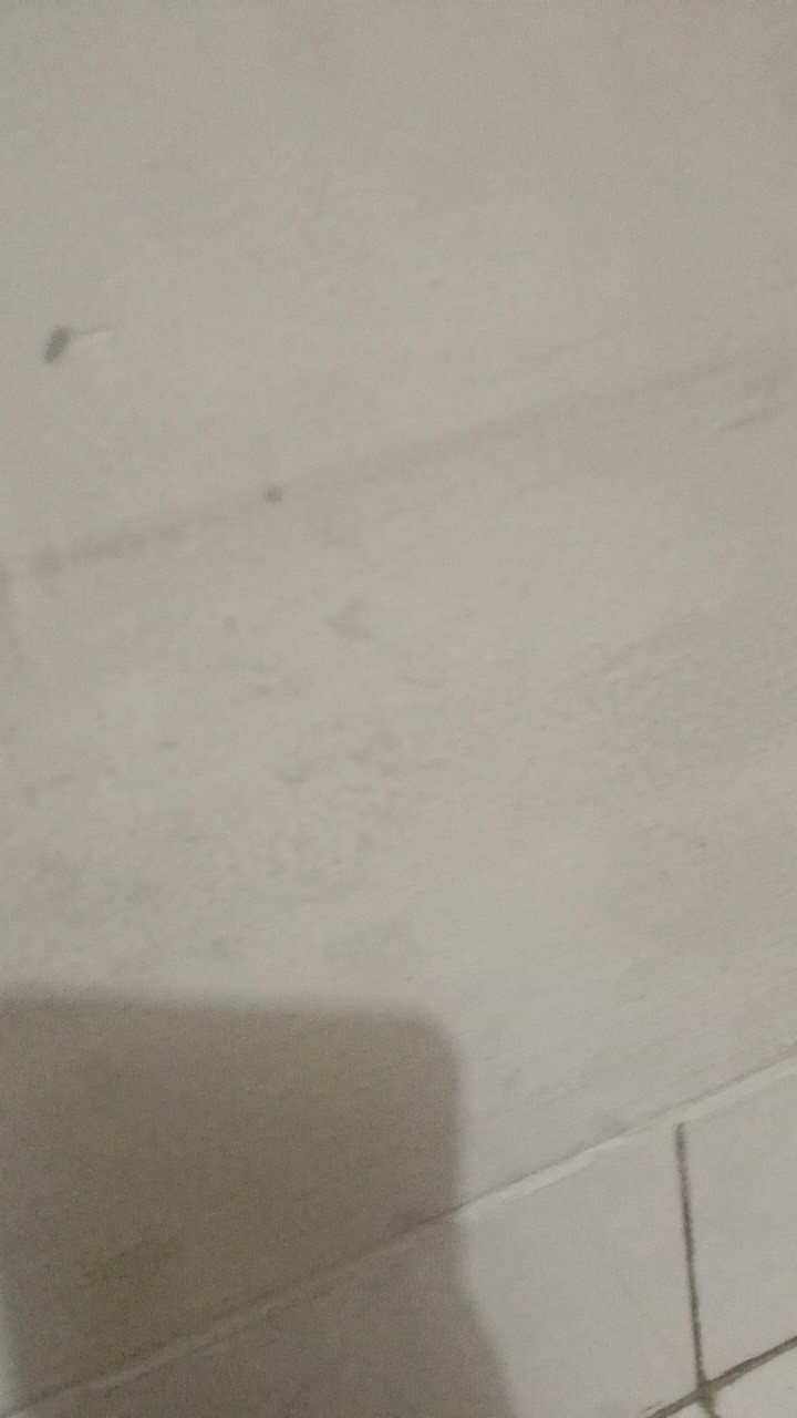 Baju Batik Wanita Atasan Batik Kantor Modern Monalisa Genes M,l,xl,xxlasli Pekalongan