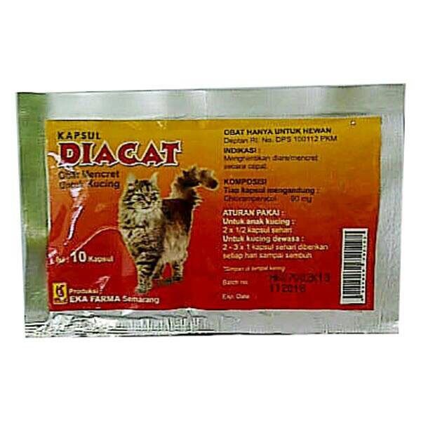 obat mencret kucing diacat