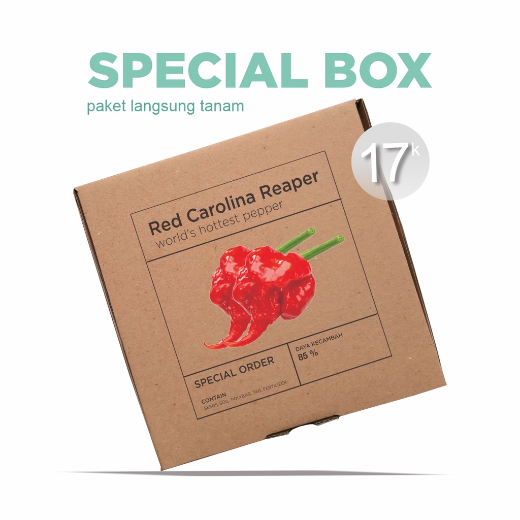 Paket Langsung Tanam - Gardening Kit - SPECIAL BOX - Benih Cabai Red Carolina Reaper Rekor Dunia Cabe Terpedas Pepper Seeds