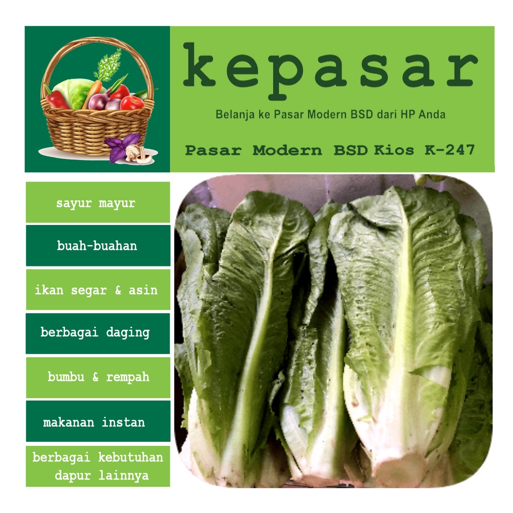 

Romaine Selada / Lettuce 250 g - Kepasar Pasar Online