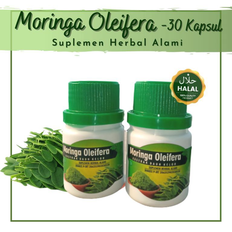 Obat Herbal Khasiat Daun Kelor Daun Kelor Obat Wasir Harga Kapsul Daun Kelor Asli Indonesia