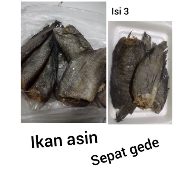 

ikan teri / cumi asin / ikan asin