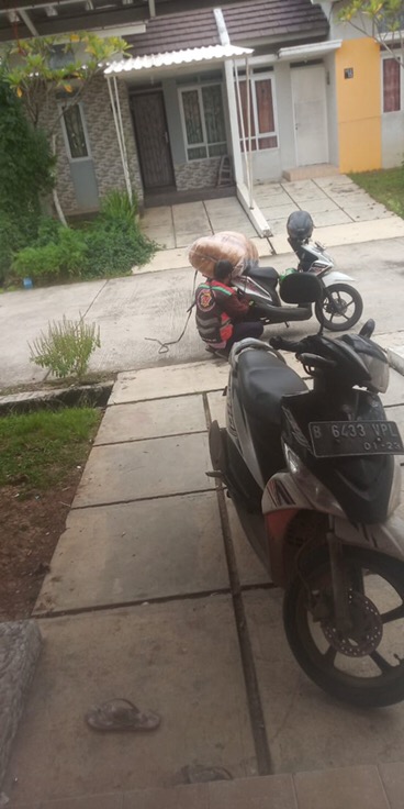 Kasur Menul 2 Bantal Super Lembut