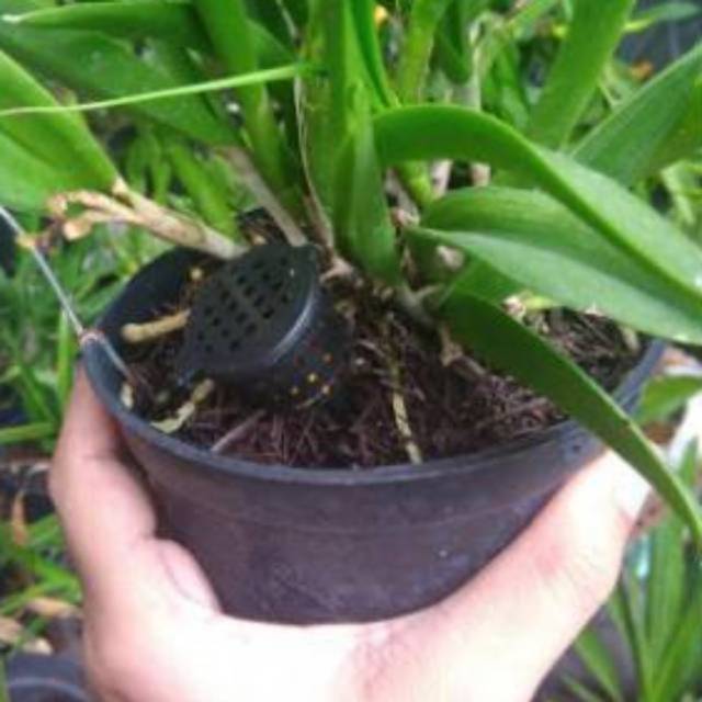 Keranjang pupuk - pot pupuk - tempat pupuk dekastar dan npk