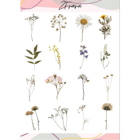 

(TERMURAH) STICKER AESTHETIC STICKER TUMBLER STICKER HP LAPTOP