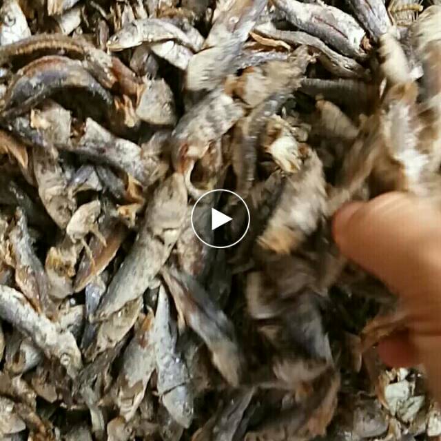 

Ikan rebus