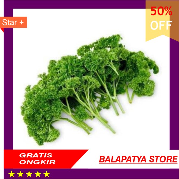 

STOK SISA 9 SAJA ! BURUAN !!! Parsley fresh