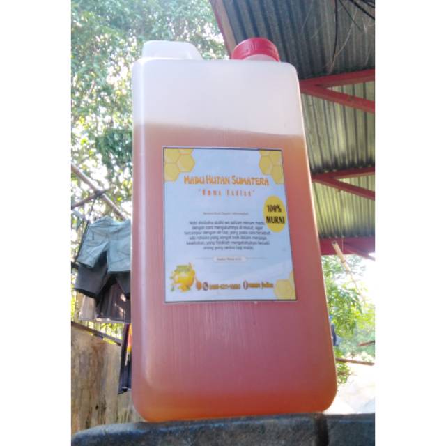 

Madu Hutan Sumatera