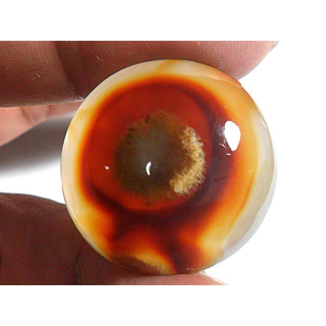 AG096 Round cabochon 46ct 26mm Natural Sagenitic Golden Needle Picture Agate Like Evil Eye