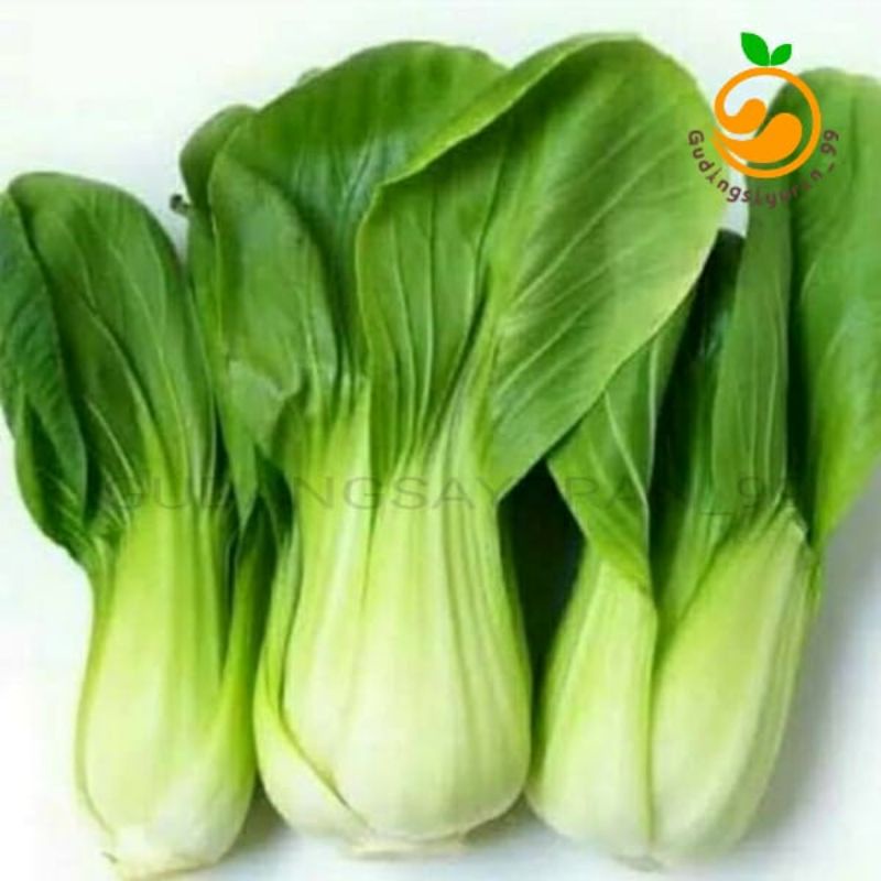 

Pakcoy Besar bersih fresh 250 gram