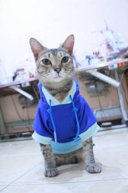 Kaos hoodie mixmax lucu untuk kucing dan anjing / baju kucing murah / baju size S M L XL