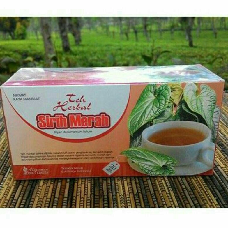 

daun sirih merah teh herbal tazakka original