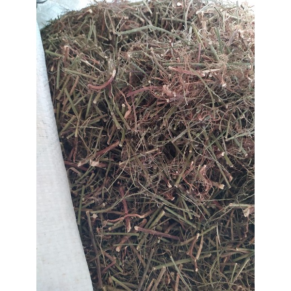 

daun meniran kering 1 kg