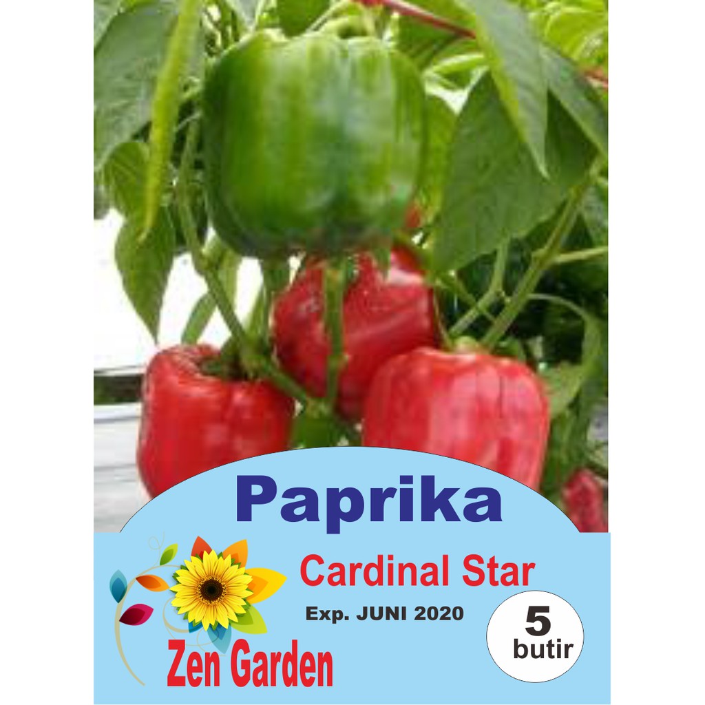 Benih Biji Bibit Paprika Cardinal Star