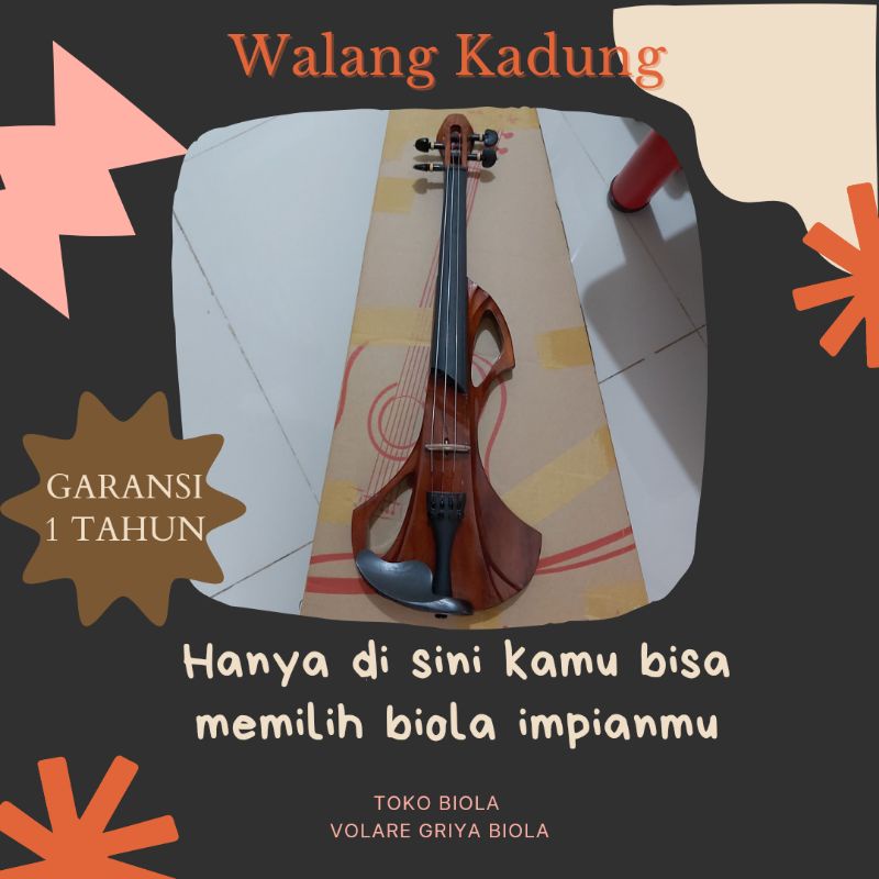 Biola Elektrik Aktif Pasif Walang Kadung