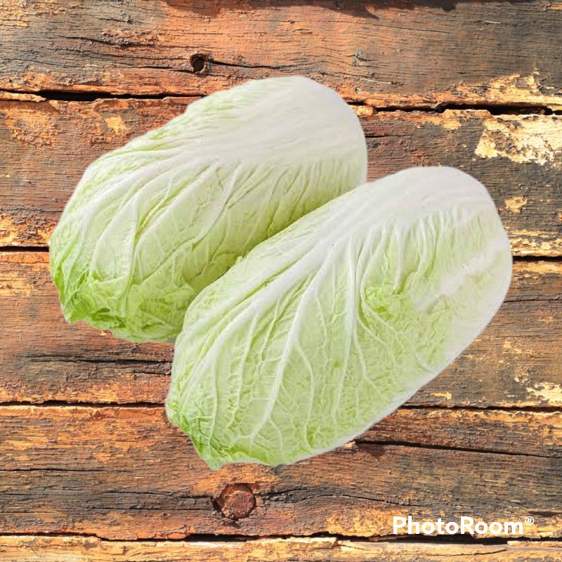 

sawi putih segar pecay untuk kimchi