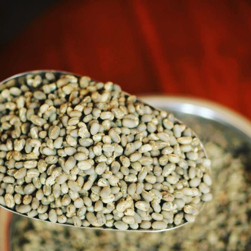 

Biji Green Bean Kopi Arabika Aceh Gayo Specialty 1 Kg- Jadez Coffee