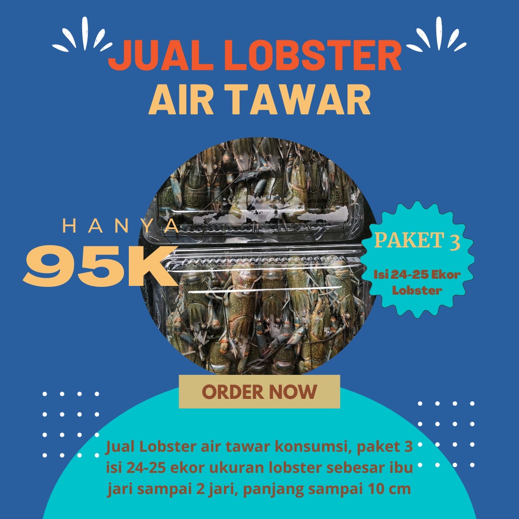 

LOBSTER AIR TAWAR KONSUMSI BANDUNG PAKETAN HANYA 95 RIBU isi 24-25 Ekor