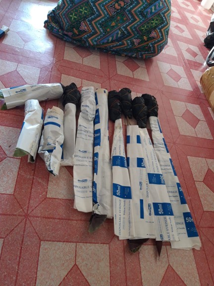 Paket Tanaman Hias Calathea ( Murah )