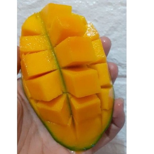 

Mangga Gadung Harum Manis