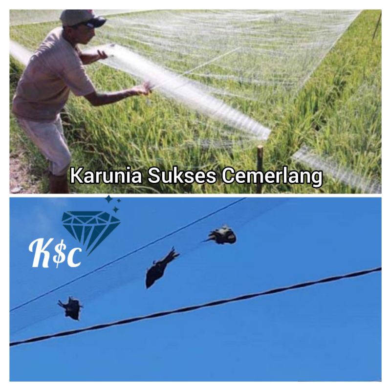 JARING BURUNG SENAR WARNA HITAM / JARING PIKAT BURUNG